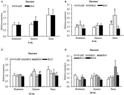 Simultaneous Supplementation of Bacillus subtilis and Antibiotic Growth Promoters by Stages Improved Intestinal Function of Pullets by Altering Gut Microbiota